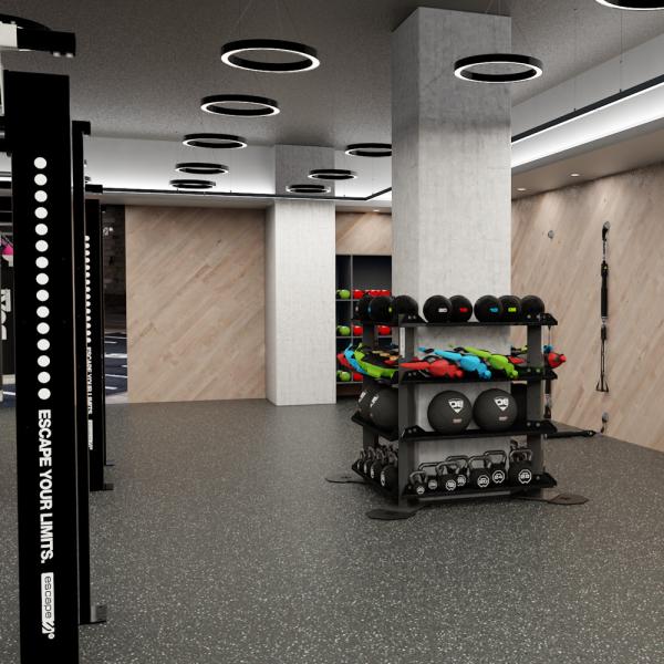 Commercial Gyms