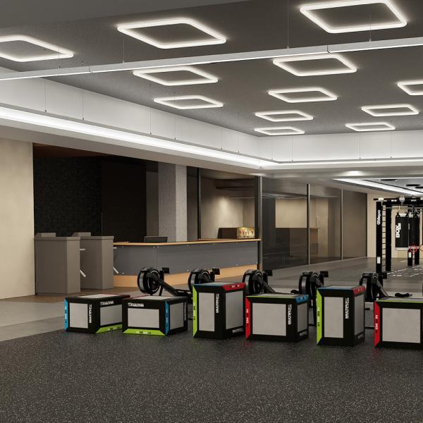 Workplace Gyms