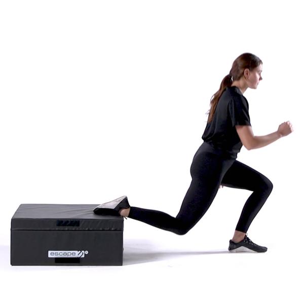 Bulgarian Split Squat with Plyometric Box