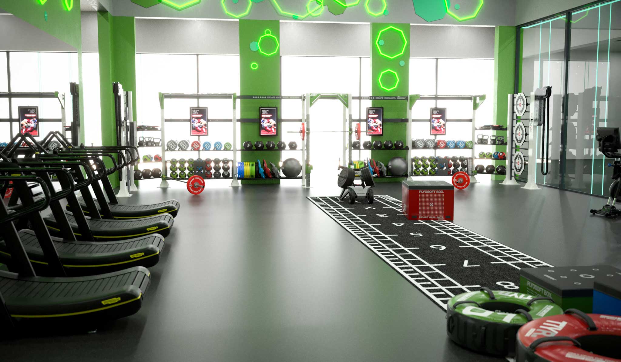 lr-Top_Gym_Design_Forest_6