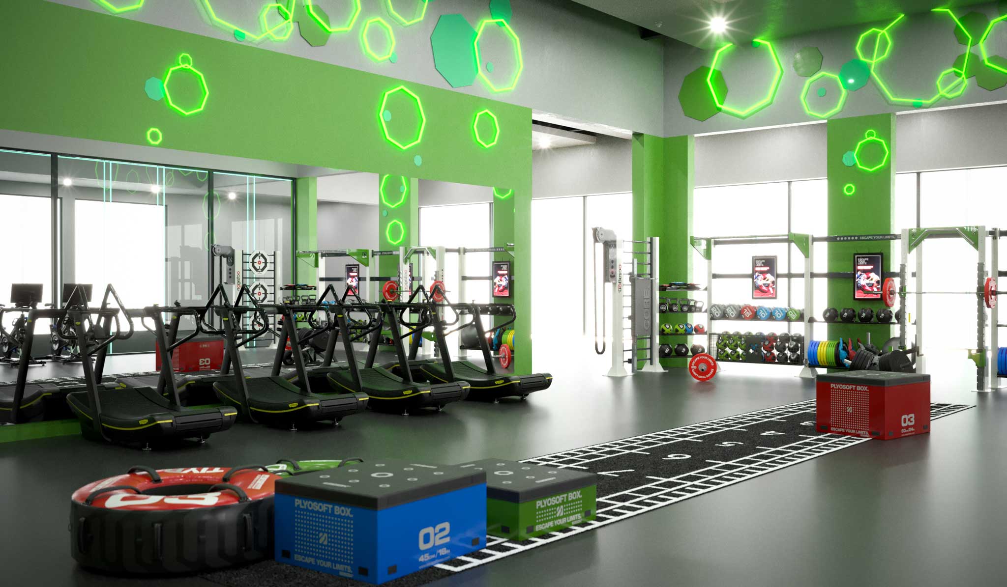 lr-Top_Gym_Design_Forest_7