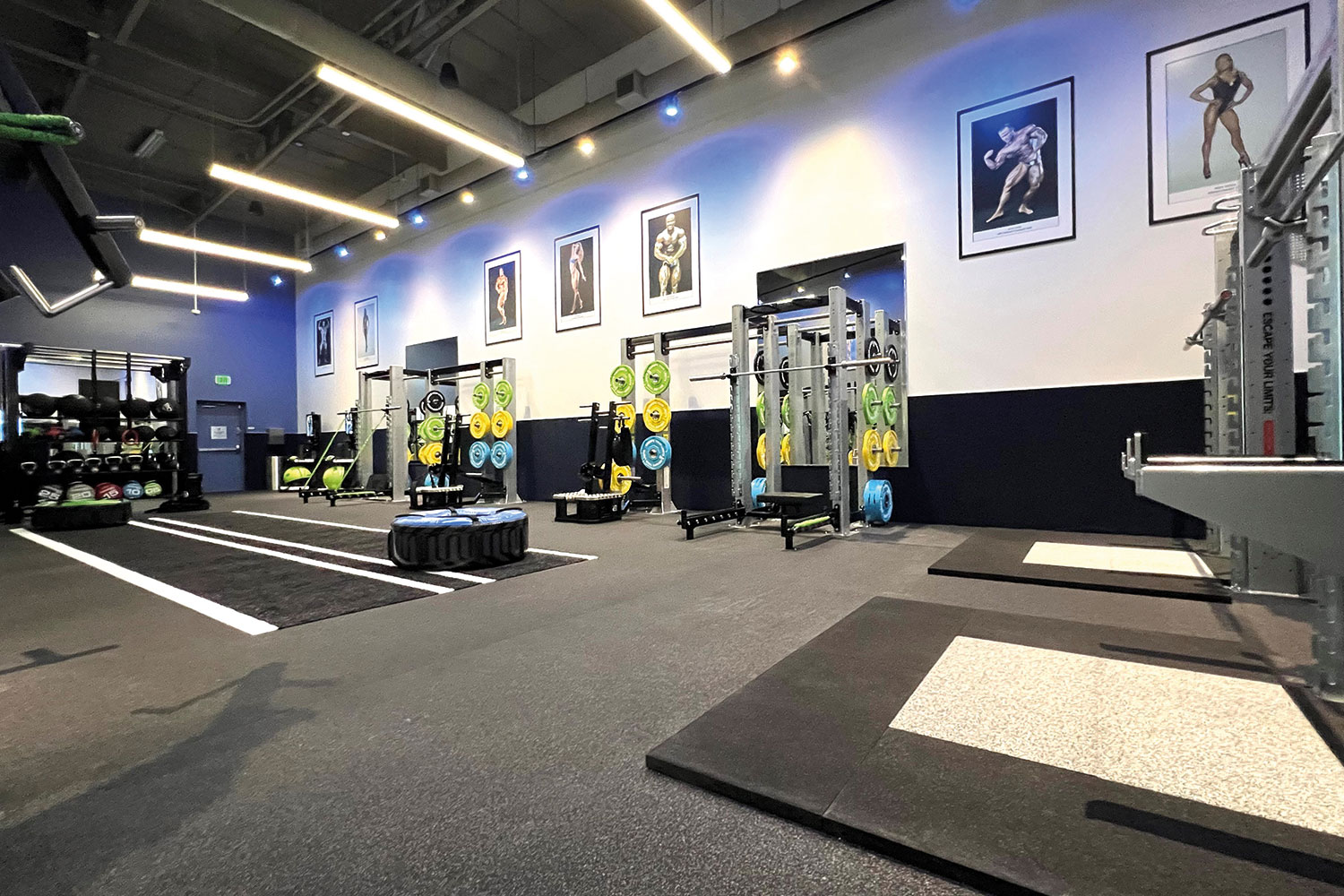 Golds Gym Design