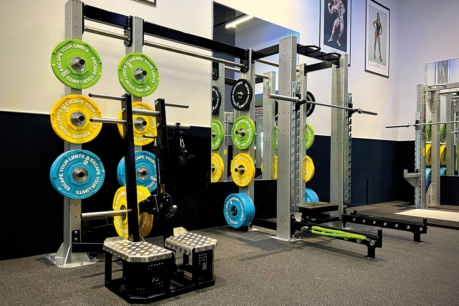 Golds Gym Design Close Up