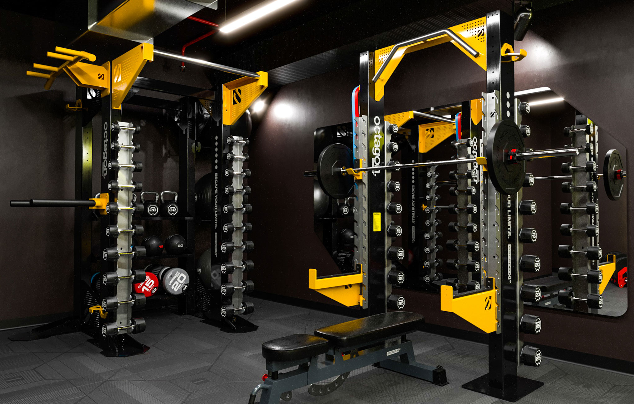 Escape Fitness Rig in gym design