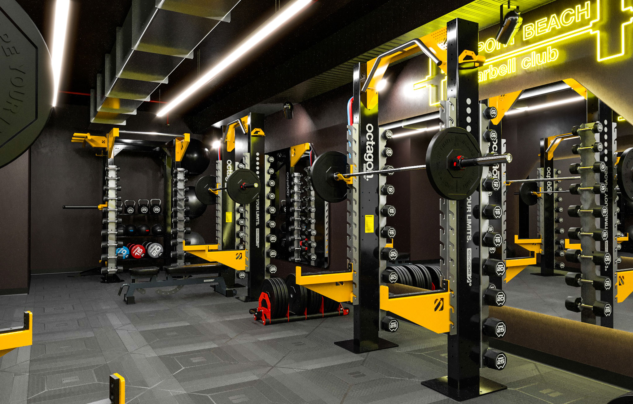 Escape Fitness Rig in gym design