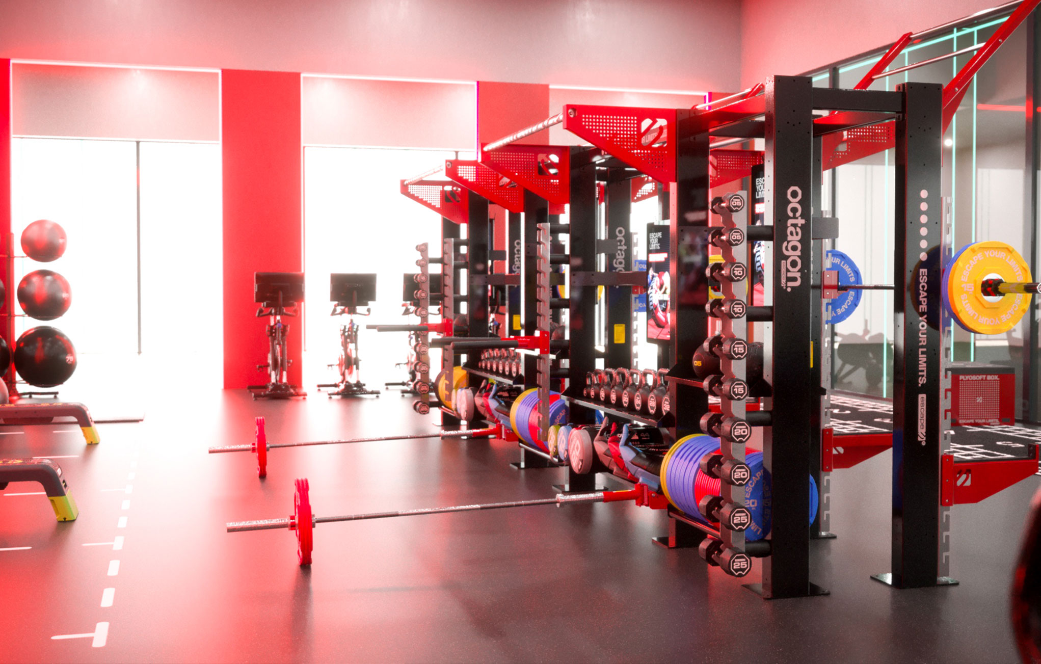 Top-Gym-Design--Imperial-4