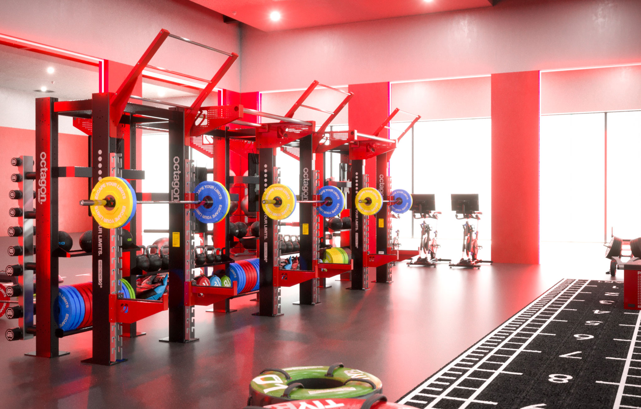 Top-Gym-Design--Imperial-5
