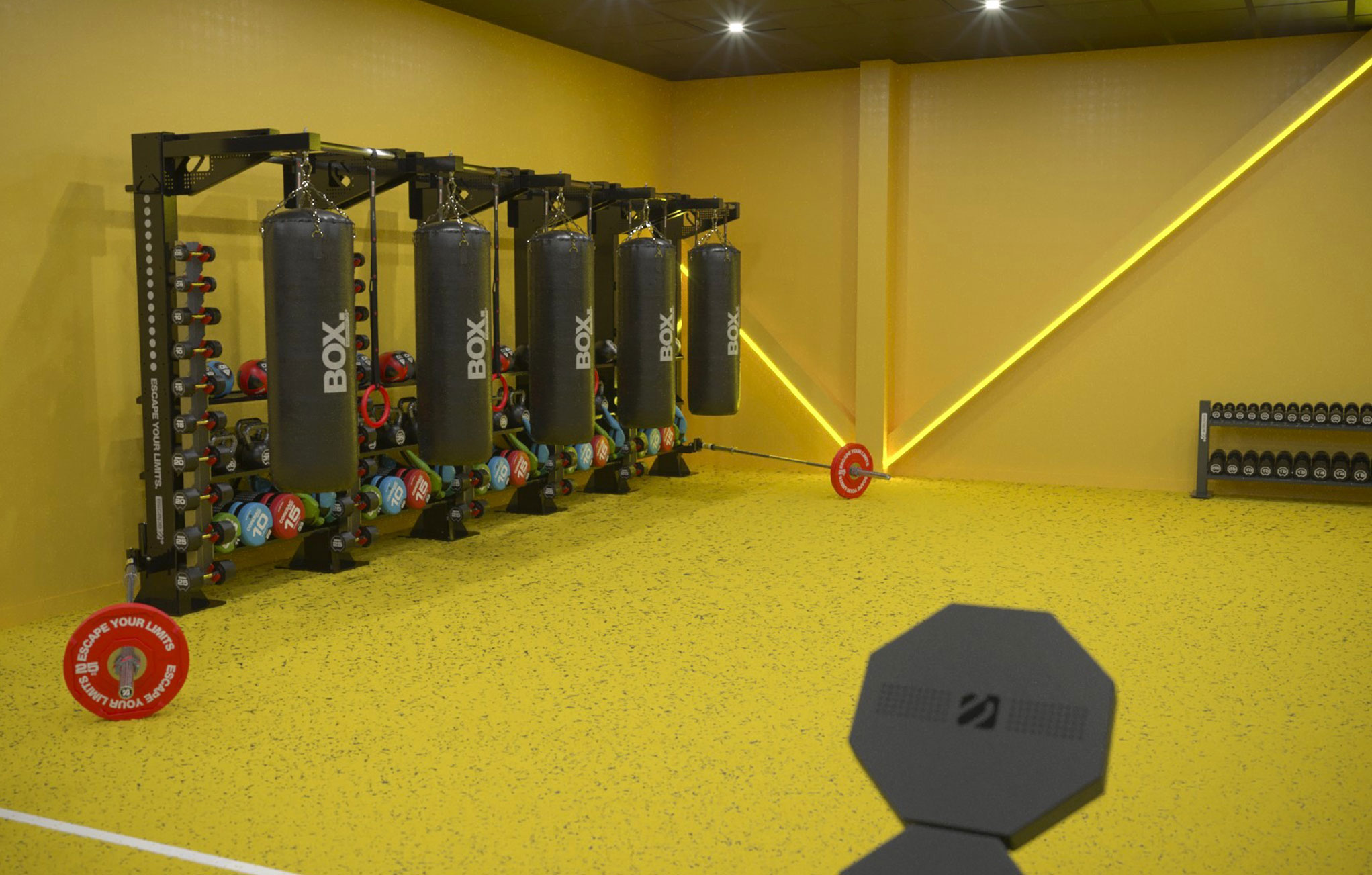 Top-Gym-Design-of-the-Month--Mellow-5