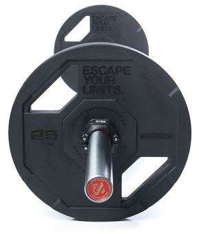 lr_RubberGripDisc_insert